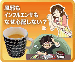 ホットチャチャルサムネイル