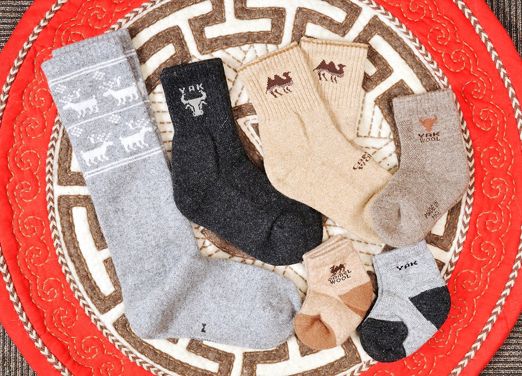 10700535_1015462375136024_7391932442832794650_o