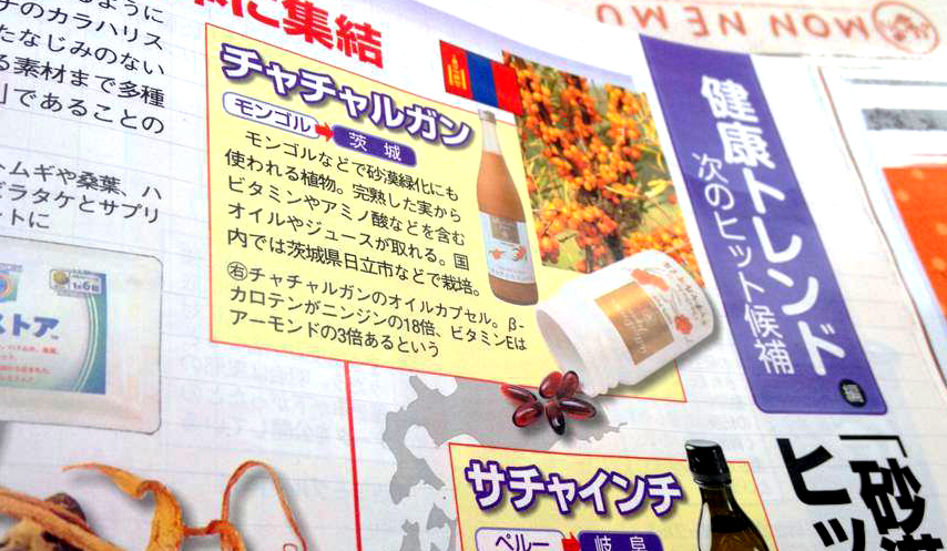 11083901_1099508033398124_4543836946337401341_n