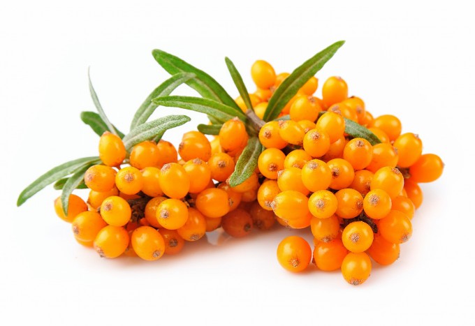 shutterstock_153042839