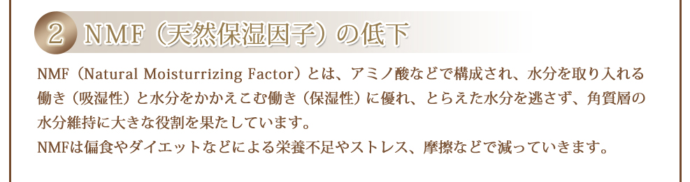NMF（Natural Moisturrizing Factor）とは、アミノ酸などで構成され、水分を取り入れる働き（吸湿性）と水分をかかえこむ働き（保湿性）に優れ、とらえた水分を逃さず、角質層の水分維持に大きな役割を果たしています。NMFは偏食やダイエットなどによる栄養不足やストレス、摩擦などで減っていきます。