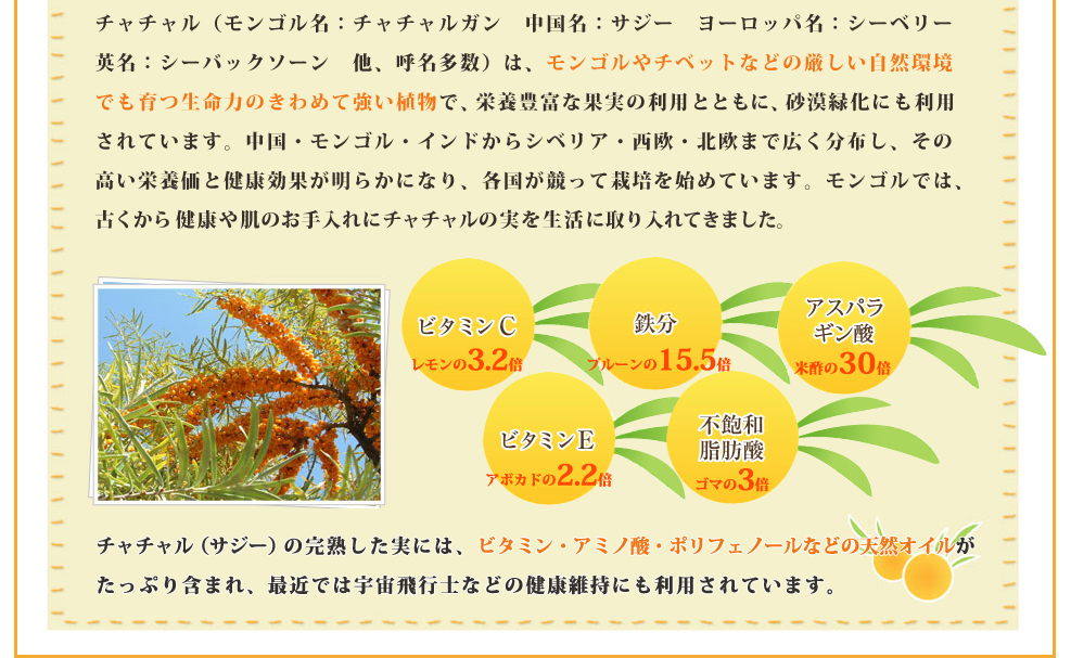 チャチャル（サジー、シーベリー、シーバックソーン）は、モンゴルやチベットなどの厳しい自然環境でも育つ生命力のきわめて強い植物。多くのビタミン・ミネラル・アミノ酸などの天然オイルが含まれ、健康維持にも利用されています。