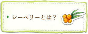 シーバックソーンとは？