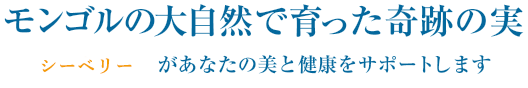 モンゴルの大自然で育ったスーパーフード、シーバックソーン（チャチャル)ががあなたの美と健康をサポートします