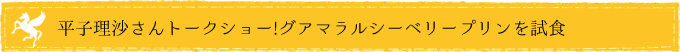 平子理沙さんトークショー!グアマラルシーベリージュースを使ったプリンを試食