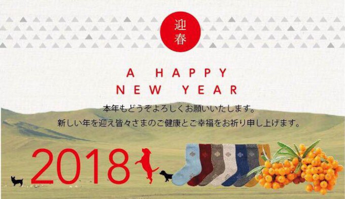 靴下2018