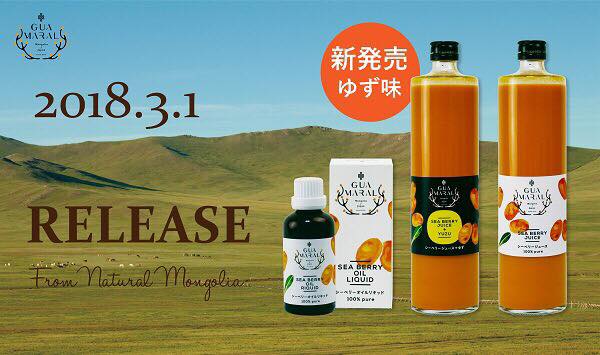 31 新発売